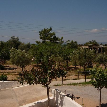 Maria Apartments Pefki Dış mekan fotoğraf